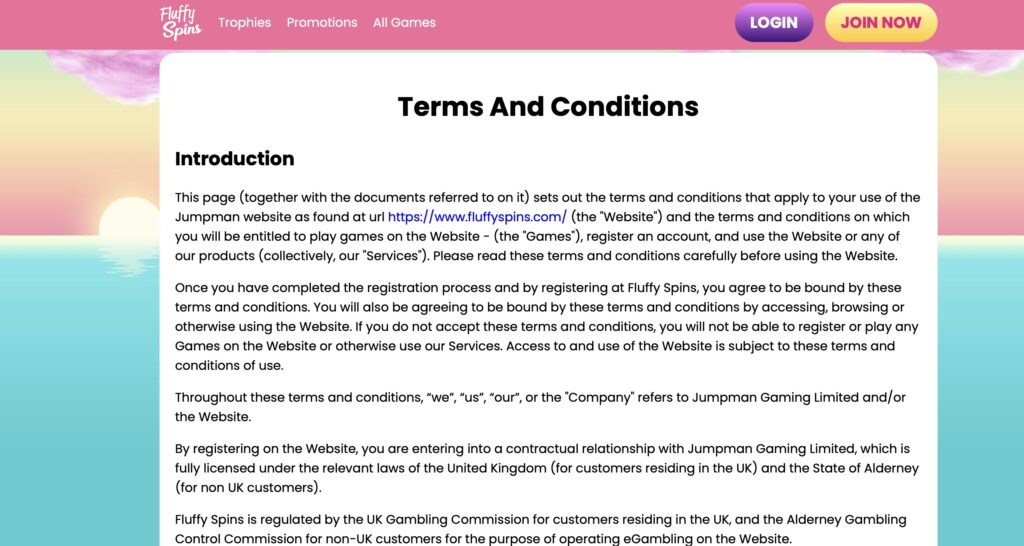 Fluffy Spins casino terms and conditions